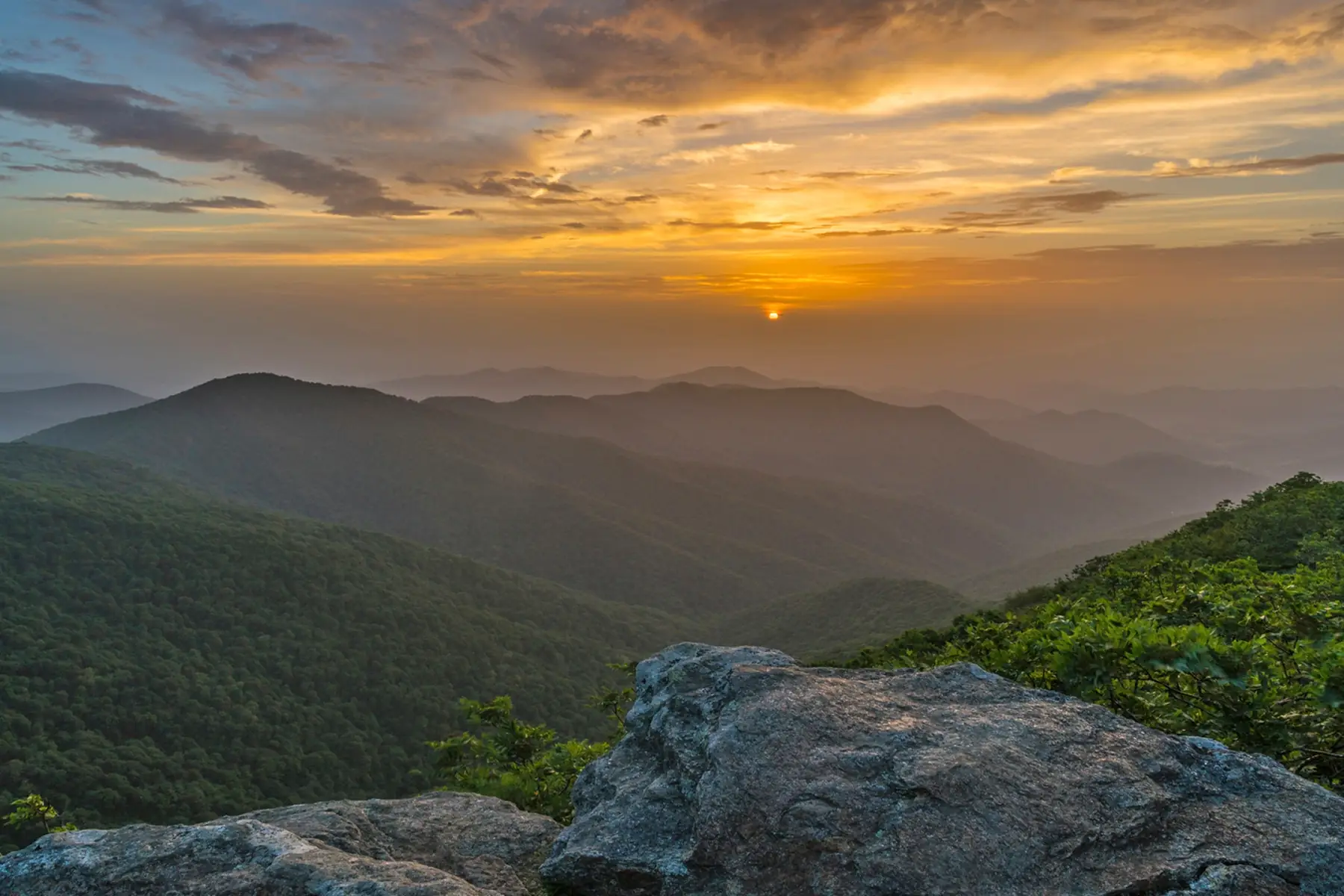 Craggy Gardens